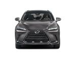 2025 Lexus NX 350h Luxury