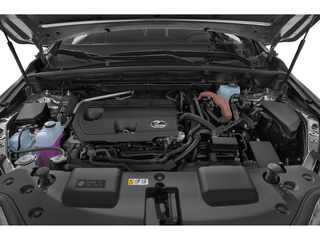 2025 Lexus NX 350h Luxury