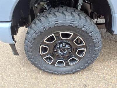 2025 Ford F-350SD Platinum