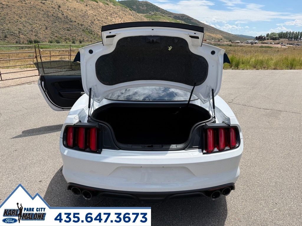 2016 Ford Mustang Shelby GT350