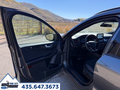 2025 Ford Escape ST-Line