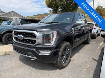 2021 Ford F-150 Platinum