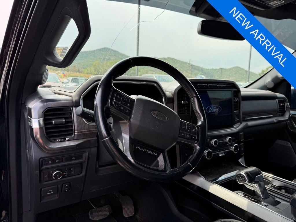 2021 Ford F-150 Platinum