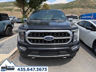 2021 Ford F-150 Platinum