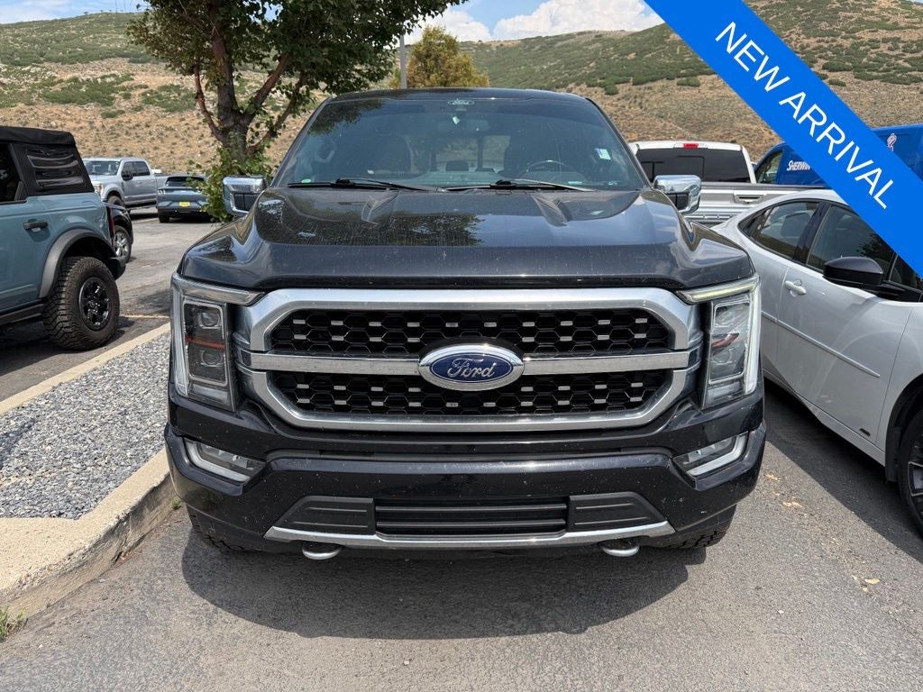 2021 Ford F-150 Platinum