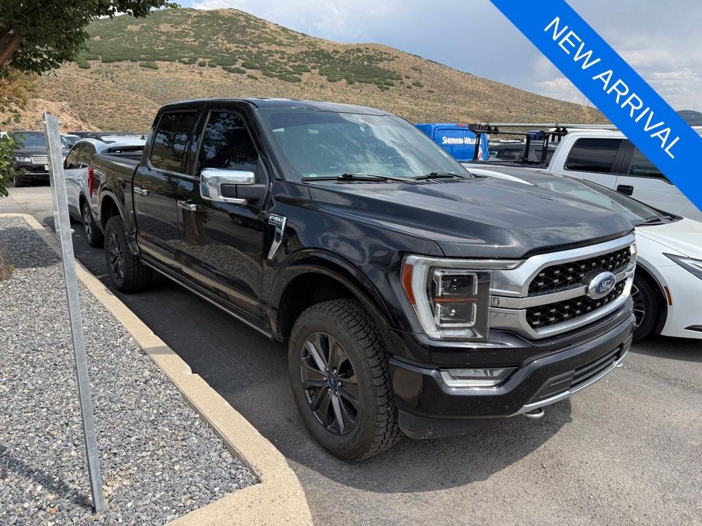2021 Ford F-150 Platinum
