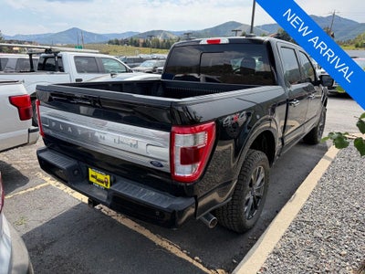 2021 Ford F-150 Platinum