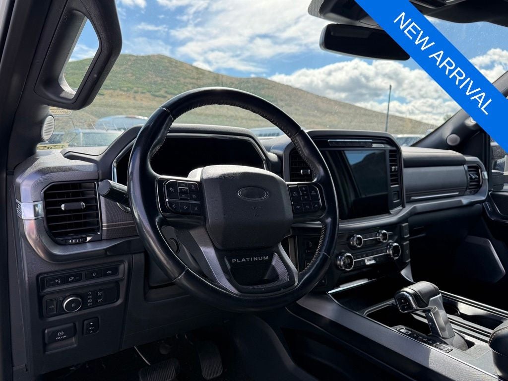 2021 Ford F-150 Platinum