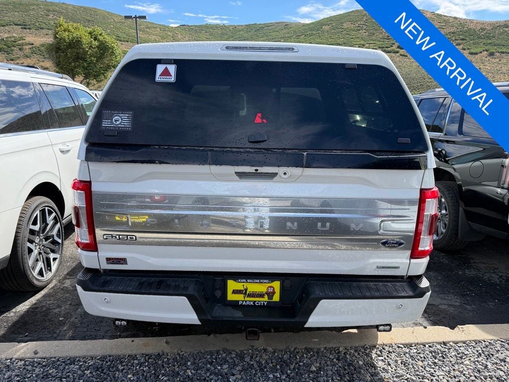 2021 Ford F-150 Platinum