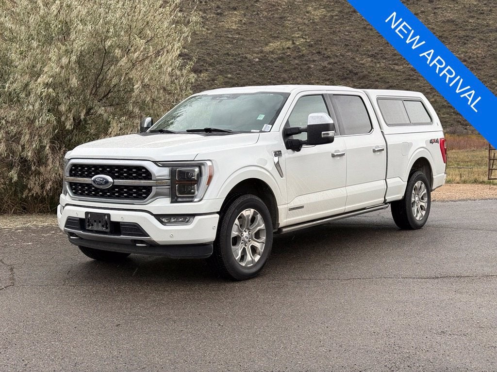 2021 Ford F-150 Platinum