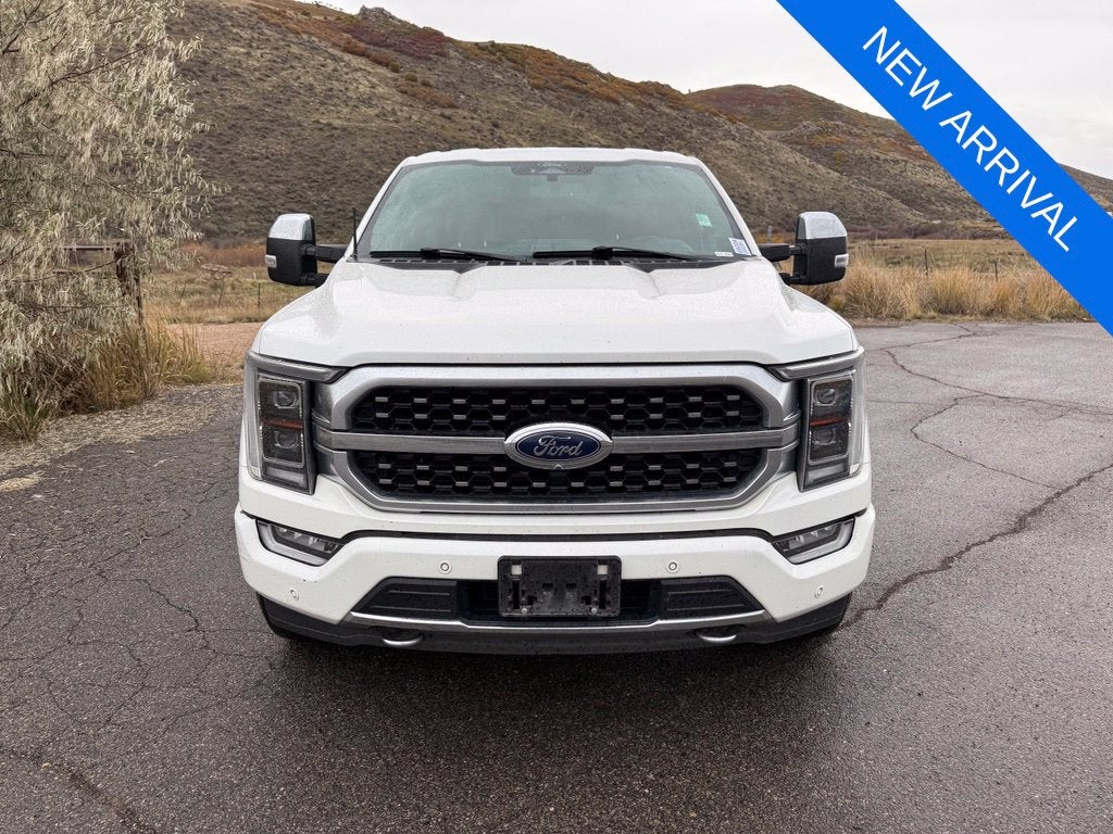 2021 Ford F-150 Platinum