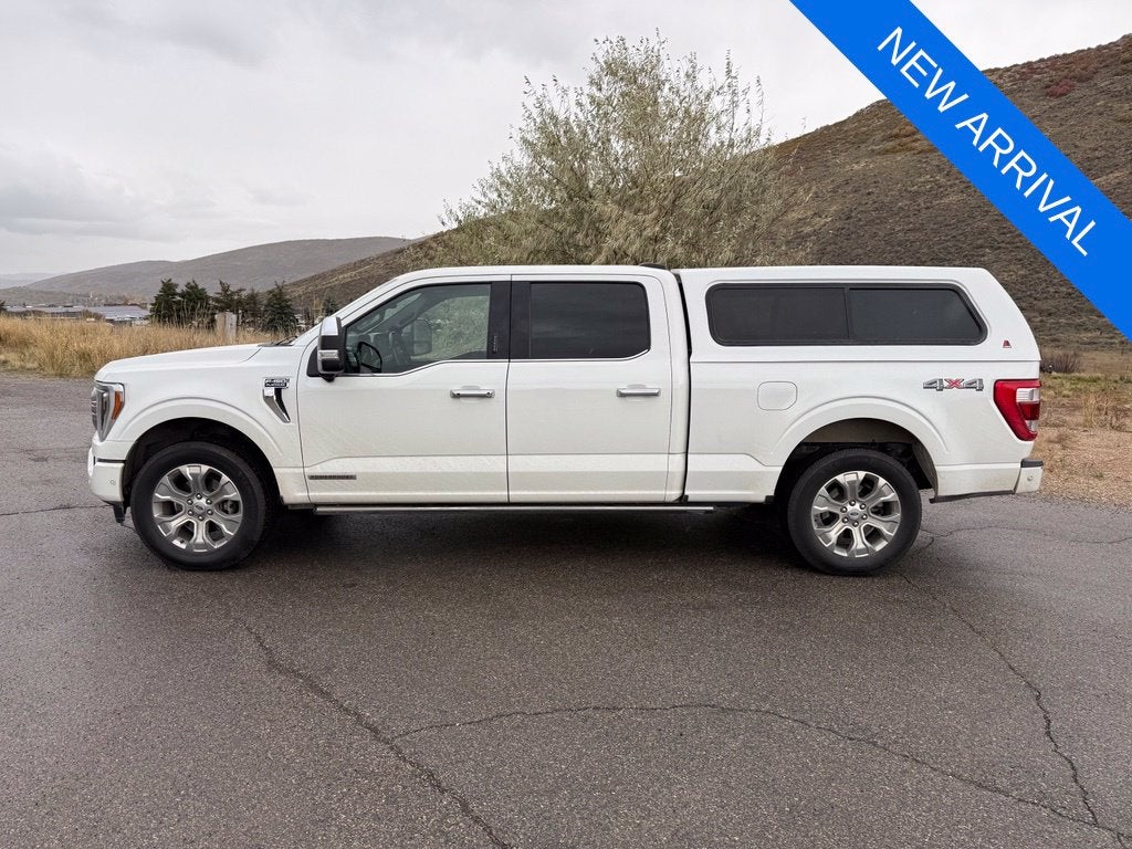 2021 Ford F-150 Platinum