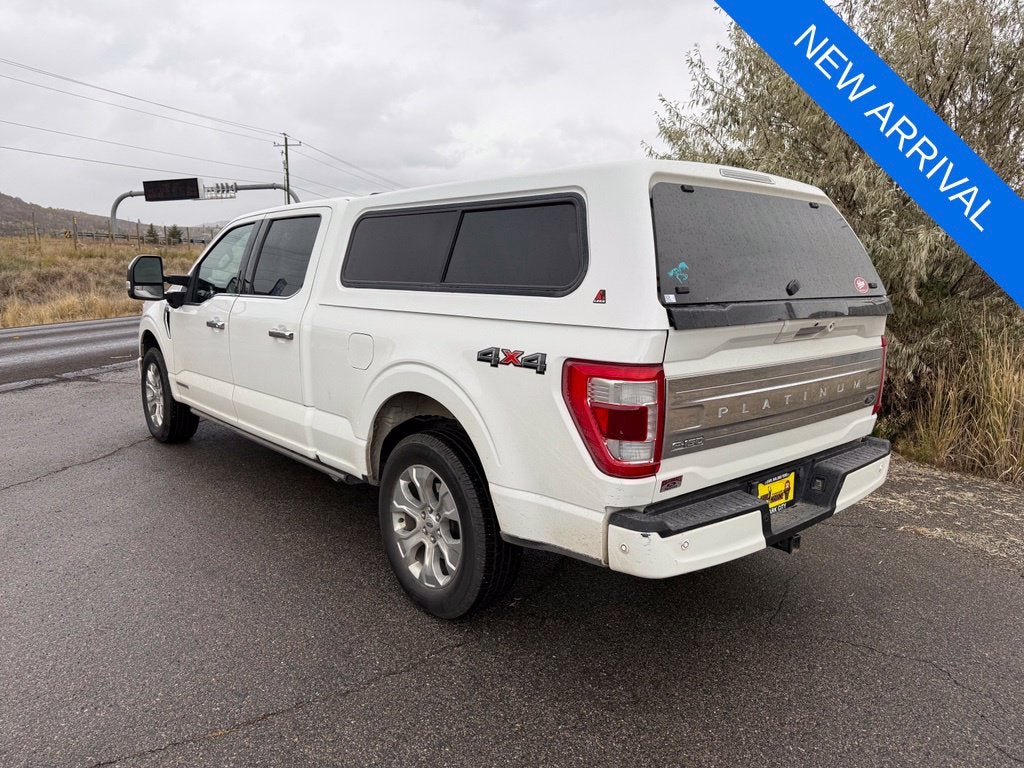 2021 Ford F-150 Platinum
