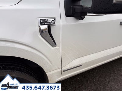 2021 Ford F-150 Platinum