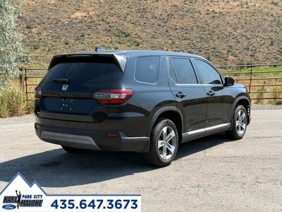 2024 Honda Pilot EX-L 8 Passenger