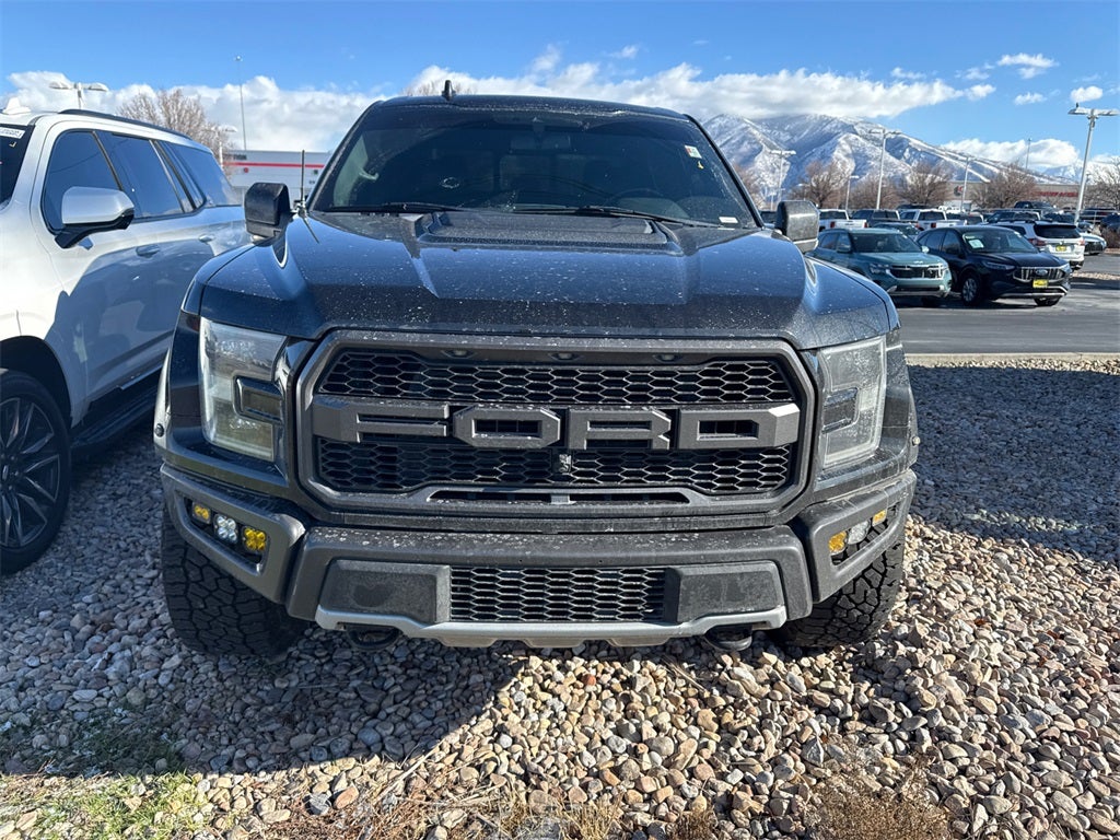 2019 Ford F-150 Raptor