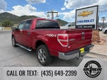 2010 Ford F-150 XL