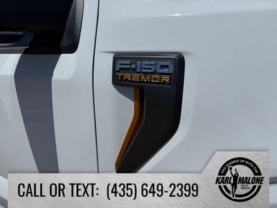 2025 Ford F-150 Tremor
