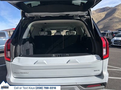 2025 Ford Expedition Max Platinum