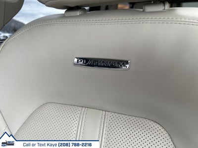 2021 Ford Expedition Max Platinum