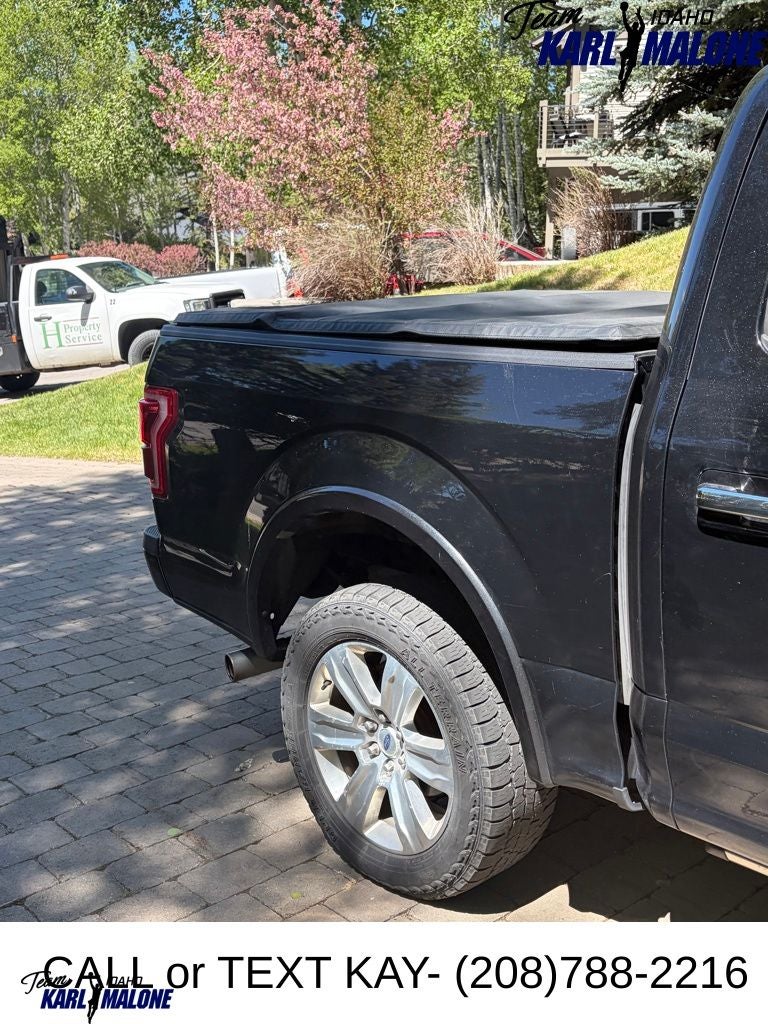 2015 Ford F-150 Platinum
