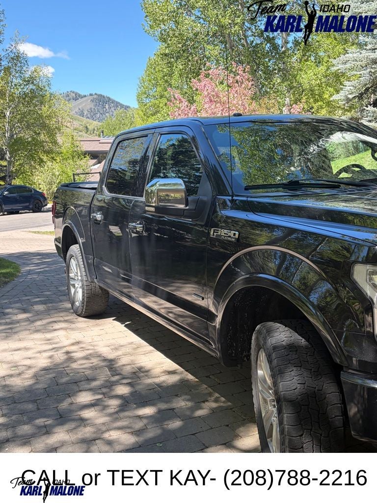 2015 Ford F-150 Platinum