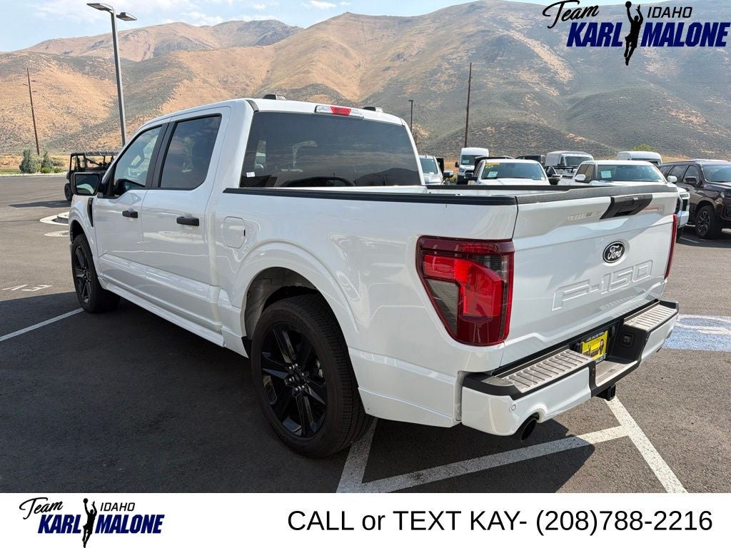 2025 Ford F-150 STX