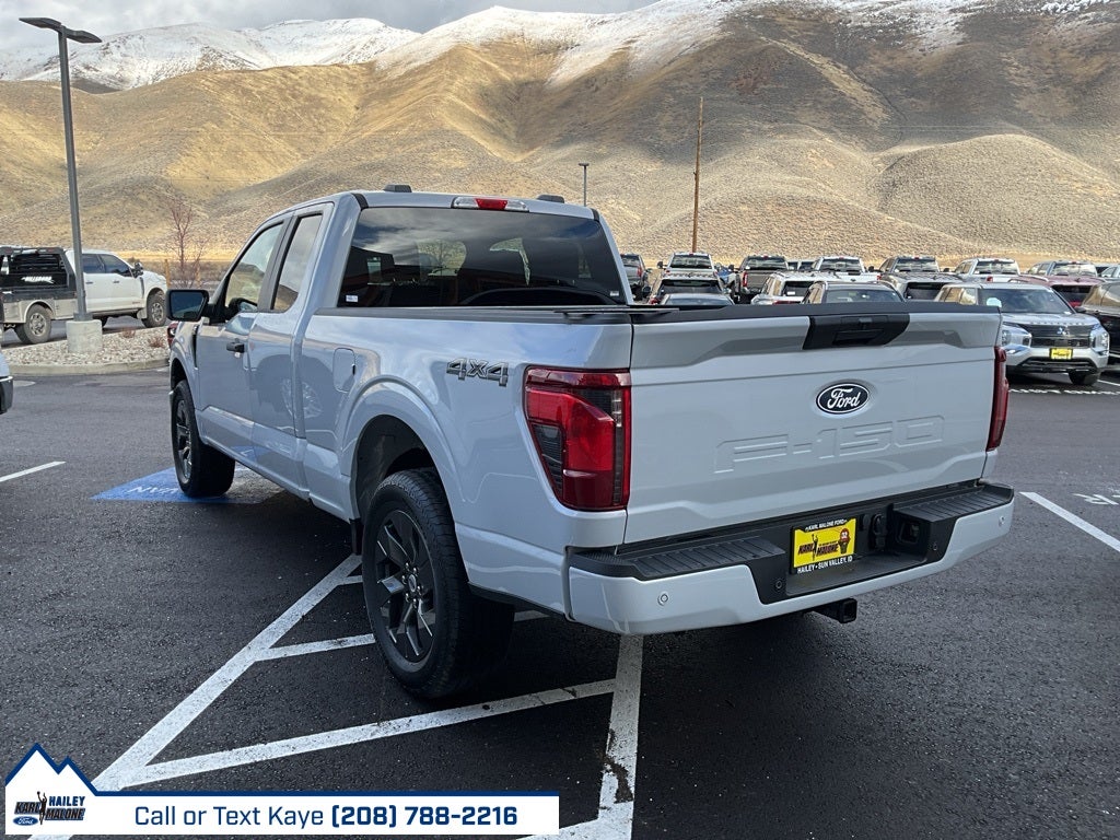 2025 Ford F-150 STX