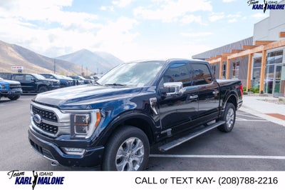 2021 Ford F-150 Platinum