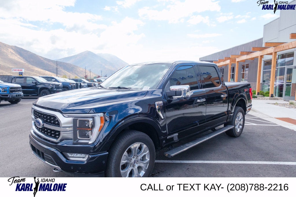 2021 Ford F-150 Platinum