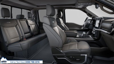 2025 Ford F-150 Platinum